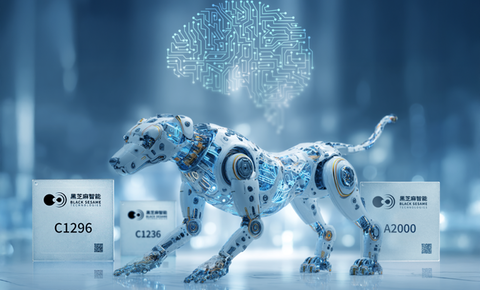 黑芝麻智能与云深处科技达成战略合作，共推具身智能平台全球市场应用