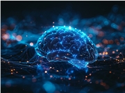 Plaud 中国区 CEO 莫子皓离职：AI 硬件赛道再现重量级“连续创业者”