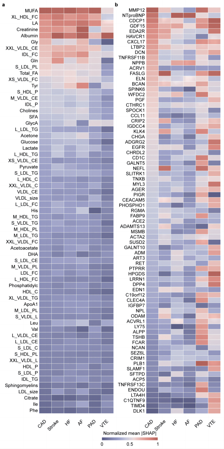 港大张清鹏 Nature 子刊最新研究：AI 结合血液多组学，提前 15 年预测心血管疾病风险