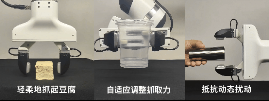 橡木果发布“本能驱动”技术路线，为机器人赋予“具身本能”