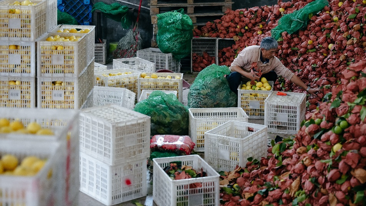 拼多多发布Q3财报，新电商迎创业十周年，加大投入反哺生态回馈社会