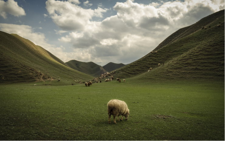 携程“城市C位出道计划第二季”：以石河子为镜 照见C城文旅新解法
