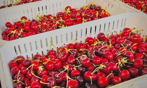 拼多多百亿补贴上线首批车厘子，5斤“智利原箱进口”售价低至154元