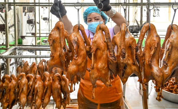 拼多多发布《2025农产品上行半年报》:“多多好特产”加码扶持农货商家,农产品销量同比增长47%