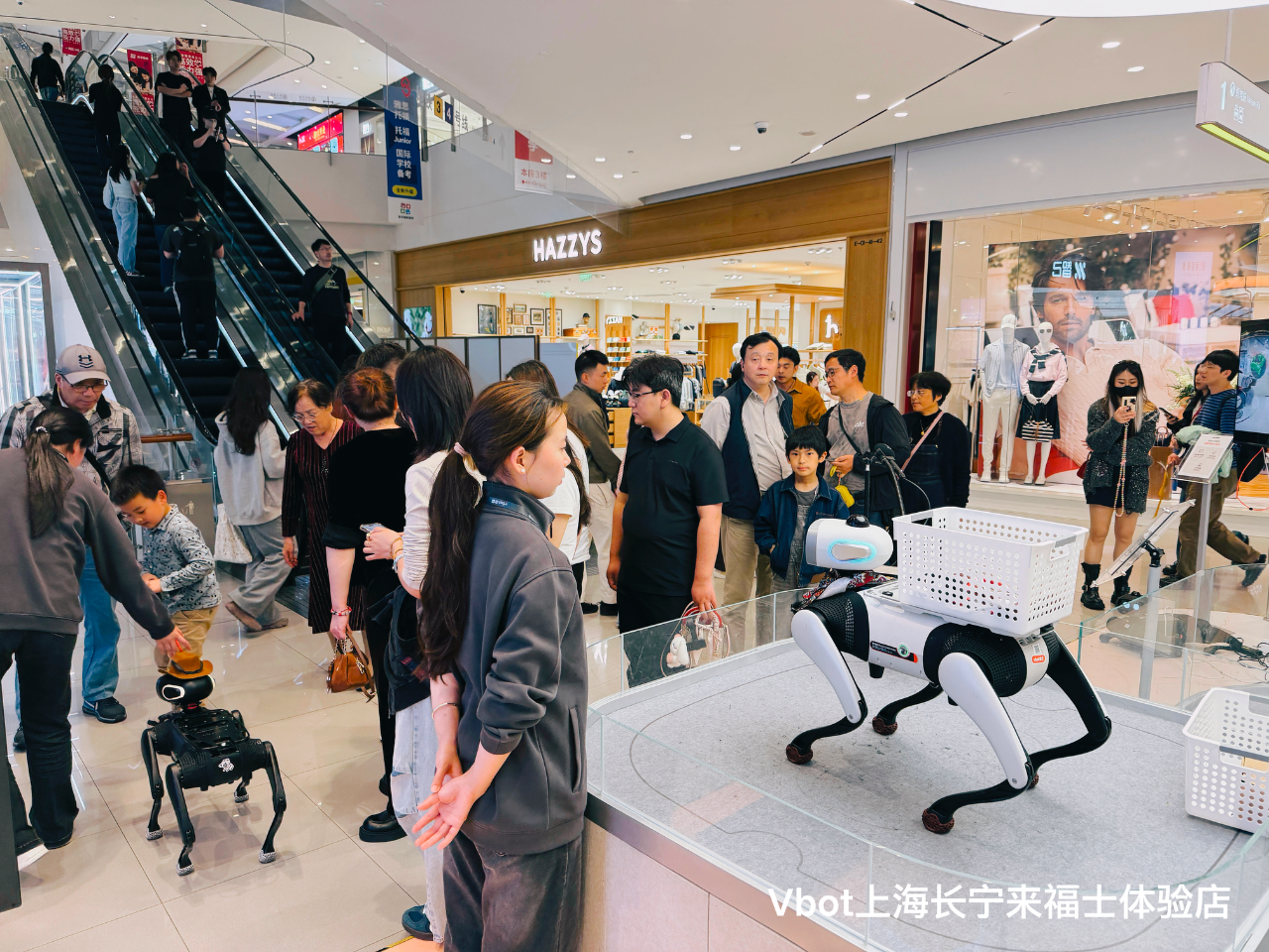 Vbot维他动力完成Pre-A轮融资，超能机器狗已开启量产交付