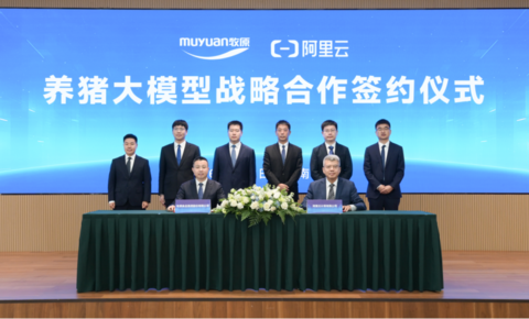 牧原与阿里云达成AI战略合作  联合打造AI助手将猪群健康检测提效超百倍