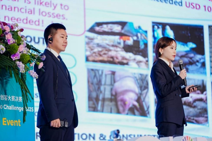 拼多多发布Q3财报，新电商迎创业十周年，加大投入反哺生态回馈社会