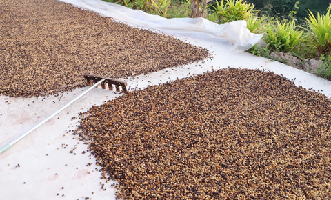 拼多多“千亿扶持”落地半年，“包邮区”持续扩大，更多地区享受便利网购服务