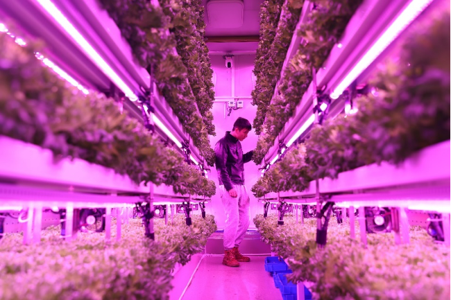 拼多多2024全年财报出炉，高质量发展效用加速释放，新质供给助推产业转型升级