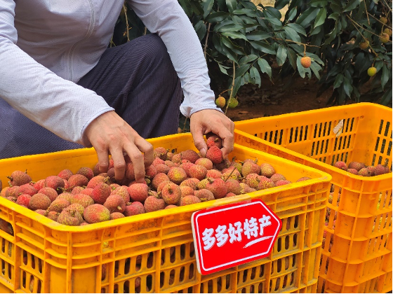 拼多多发布Q1财报，加速推进“千亿扶持”新战略，先商家后平台扶持产业生态