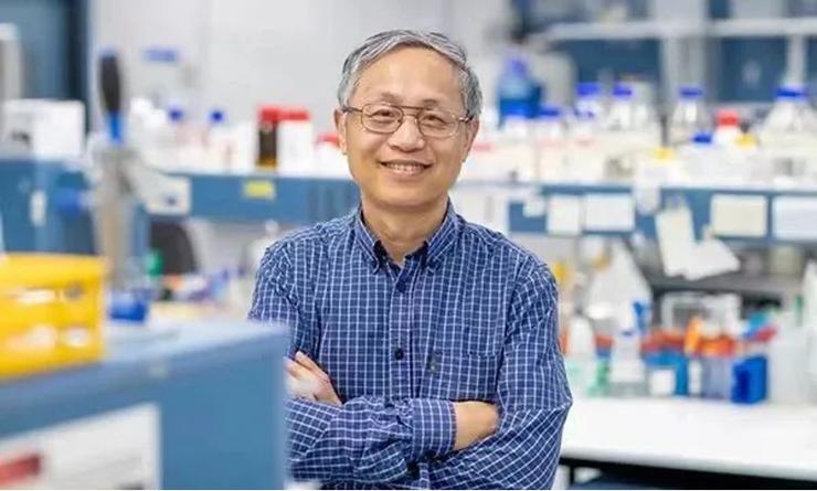 深圳湾实验室周耀旗：填补AlphaFold 2缺口，开启所有蛋白质结构的高精度预测时代