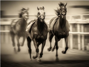 阿里“神马”HappyHorse出圈！中文在线火速进场