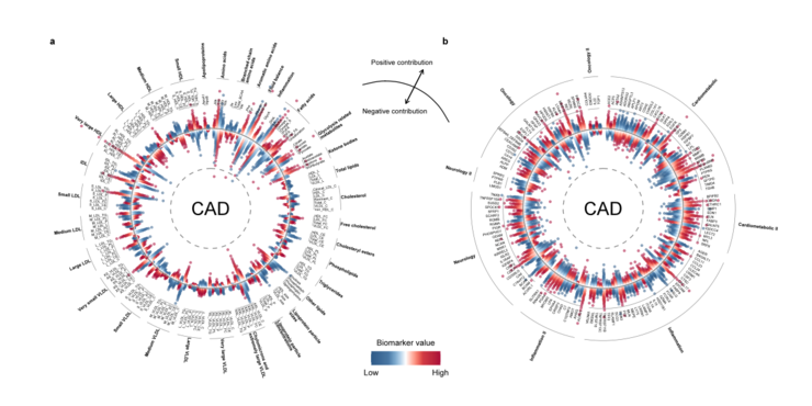 港大张清鹏 Nature 子刊最新研究：AI 结合血液多组学，提前 15 年预测心血管疾病风险