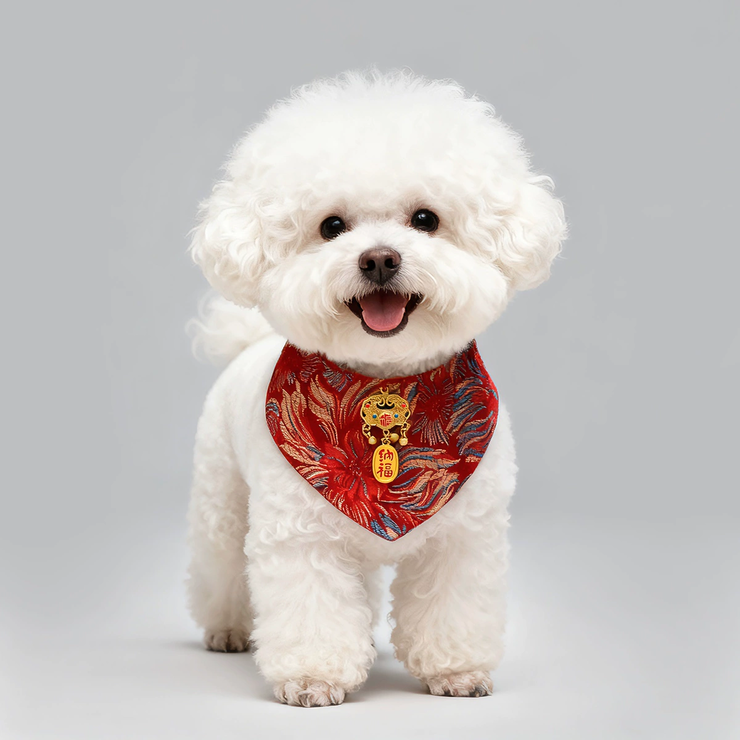 年货节淘宝境外销售额增长超40% 全球消费者在淘宝“赶大集”