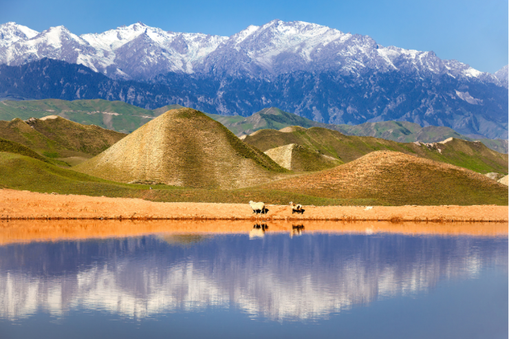 携程“城市C位出道计划第二季”：以石河子为镜 照见C城文旅新解法